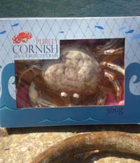 Looe Crunchy Crabs