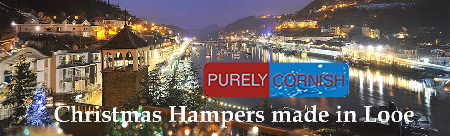 Looe Lights Banner 2025